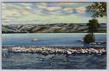 c1940s Fremont Lake Pinedale Wyoming Scenic View Vintage Postcard picture