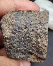 199g H5 type NWA Northwest non classical chondrite slice meteorite picture