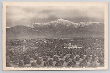 c1920 San Bernardino CA Mts - The Albertype Co - Gorgonio Redlands Postcard A1 picture