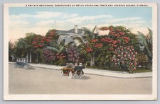 Private Residence with Royal Poinciana and Hibiscus in Florida c1920s Postcard picture