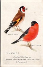 c1910s England Advertising Postcard 