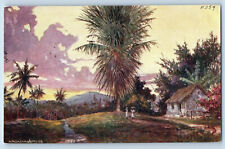 Jamaica Postcard Arcadia Trees House View 1910 Antique Oilette Tuck Art picture