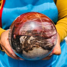 5.06 LB Large Natural Petrified Wood Agate Sphere Crystal Healing Specimen 4705 picture