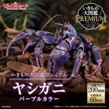 The Diversity of Life on Earth Premium Coconut Crab Purple Color Bandai picture