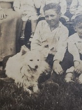 Antique 1910s Class Photo Pack Cardboard Mount Group Portrait Big White Dog picture