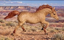 Vintage Breyer Red Roan Running Stallion #128 Nice Coloring 1968-1974 picture