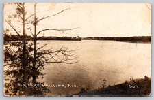 RPPC c1910s Phillips Wisconsin Elk Lake Wild Man Message Postcard picture