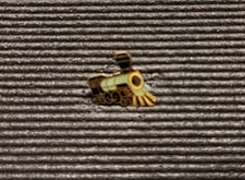 Pin’s Collector Rare - Authentic & Old : Locomotive picture