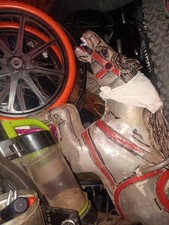 carousel horse picture