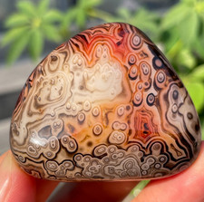 63g Natural Banded Agate Carnelian Polished Palm Stone Crystal Specimem Healing picture