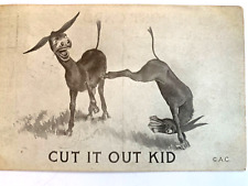 Donkey Postcard 1911 Cut It Out Kid Series HJB Humor Antique CAC Postmark Stamp picture