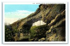 Postcard Natural Bridge in the Mountains of Tennessee unused W30 picture