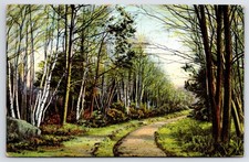 Postcard MA Leominster Exchange Street Posted 1909 Divided Back Vintage PC M9676 picture