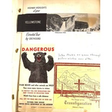 1957 Greyhound Bus Travel Scrapbook: Yellowstone, Montana Photos & Postcards picture