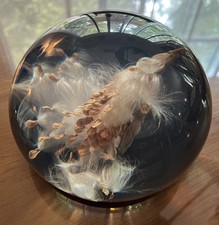 Beautiful ACRYLIC Lucite TARAX infinity Milkweed Seed Puff Paperweight (O) picture