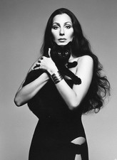 Cher sexy black cat Pin Up High Quality Metal Fridge Magnet 3x4 1171 picture