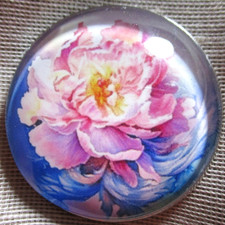NEW GLASS DOME PIC BUTTON - PRETTY PINK PEONY FLOWER BLOSSOM - 30mm picture
