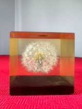 VTG GUMPS 1960's (USA) Lucite cube dandelion paperweight Modern Home Office Gift picture