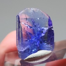 Exceptionally Stunning Tanzanite Crystal, 2cm, 12.80ct, US Seller picture