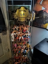 WWF Ljn Lot Including Winged Eagle Championship Belt Signed By Hulk Hogan picture
