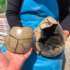 13.2LB Large Natural Beautiful Turtle Back Hole Quartz Crystal Egg Healing picture