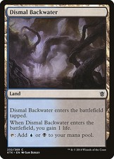 Dismal Backwater (232) (Non-Foil) KTK MTG NM picture
