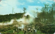The 1955 Eruption Area of Kīlauea Volcano in Puna Hawaii Vintage Postcard picture
