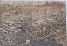 Postcard RPPC Tarpon Springs Boat Yard Men gathered Unp c1910 picture