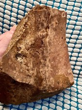 7.83 lb Biggs Picture Jasper  Lapidary Rough from Biggs, Oregon picture