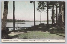 Postcard NH East Jaffrey Contoocook Lake Woodmere Pub Geo H Duncan c1915 G picture