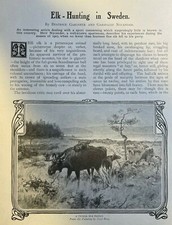 1908 Elk Hunting in Sweden illustrated picture