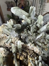 Green Chlorite Phantom Quartz Crystal – Large Collector Specimen – 2.42 lbs picture