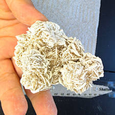 Desert Rose Selenite #12 Chihuahua Mexico 150g picture