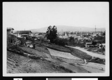 Residences on a hillside in Los Angeles California Old Photo picture