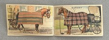 Fabulous ChaseTHREE HORSE HEAD Horse BLANKETS Colorful 20pg CATALOG ca1890s RARE picture