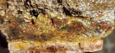 POWELL BUTTE PLUME AGATE - Very Rare Old Stock Rough. (1lbs, 3oz) picture