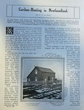 1908 Caribou Hunting in Newfoundland illustrated picture