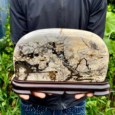3.3LB Beautiful Natural Chinese Dendritic Limestone Picture Stone Guohua-Rare picture