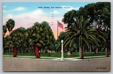 Postcard C 145, Park Scene, Rio Grande Valley, Texas picture