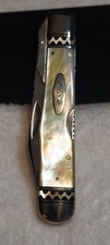 1974 Custom Case Xx  Gold Lit Pearl Cheetah Done By Dustin Williams Custom. picture