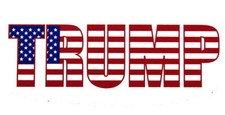 Trump 2024 RWB Stars & Stripes White Vinyl Decal Bumper Sticker (3.75