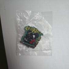 Disney Fanatics Fest NFL Exclusive Pin Champions picture