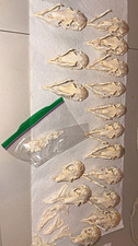 Lot of 16 Real Rabbit Skulls with Jawbones & Loose Teeth – Bone Craft Taxidermy picture