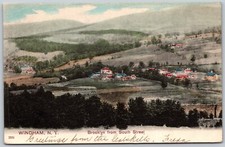 1906 Windham NY Brooklyn from South Street ANTIQUE Postcard picture