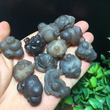 102g 12pcs Natural Bonsai Suiseki-Gobi Agate panda Eyes Stone-Rare Stunning 300 picture
