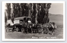 1951 