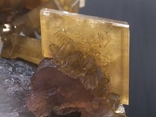Yellow Baryte on Purple Botryoidal Fluorite with Amazing Phantoms picture