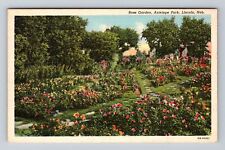 Lincoln NE-Nebraska, Antelope Park, Rose Garden, Souvenir Vintage Postcard picture