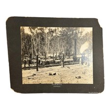 Antique Large Cabinet Card Early Photograph Australia Sawmill Owned by Mike Wolf picture