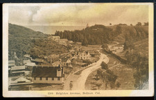 1913 Bolinas California Brighton Avenue Vintage Mitchell 1584 Postcard A219 picture
